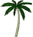 Palm.gif