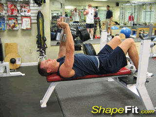 Dumbell_Pullover.gif