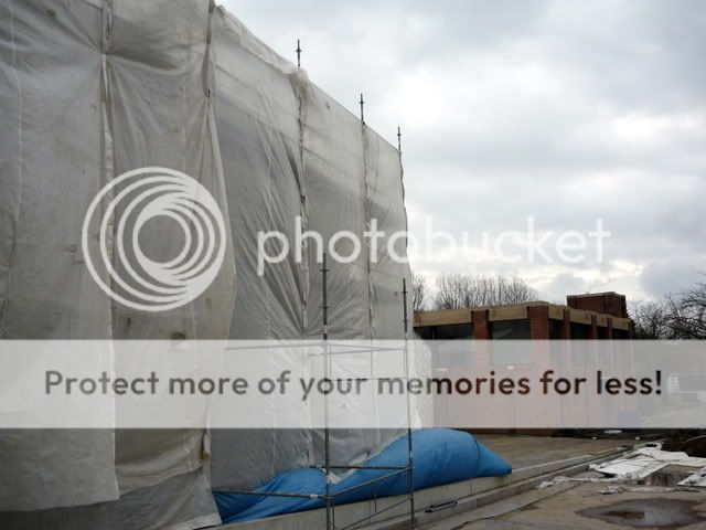 http://i537.photobucket.com/albums/ff333/micou_/villeneuve%20d%20ascq/musee%20d%20art%20moderne/P1040783.jpg?t=1236764940