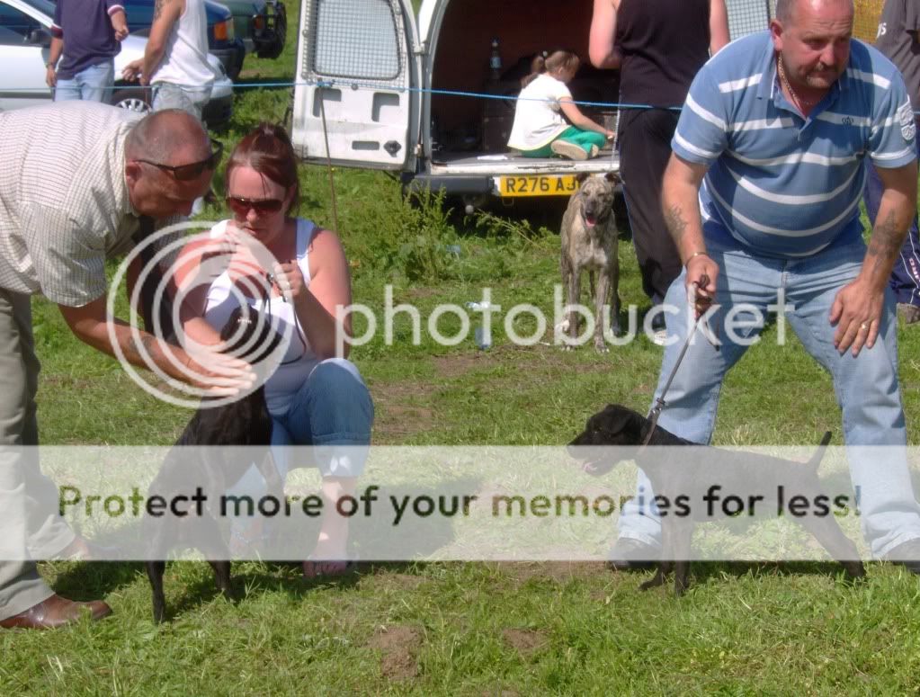 HPIM0953.jpg