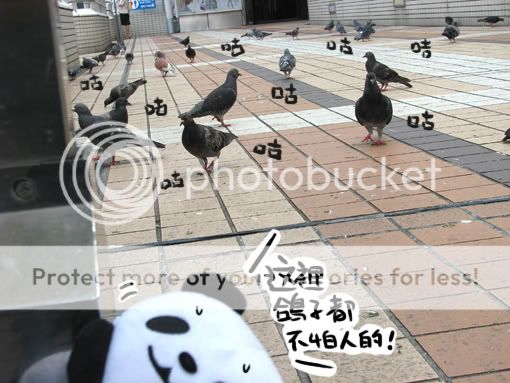 002.jpg picture by yoyo707_pupu