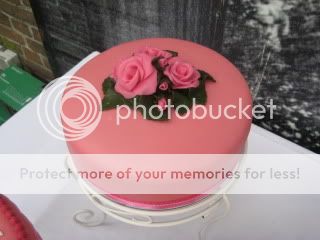 http://i537.photobucket.com/albums/ff336/hse_album/taarten/IMG_4504.jpg