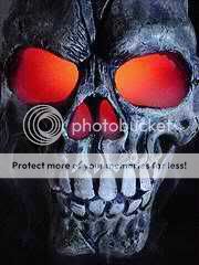 Skull Pictures, Images and Photos