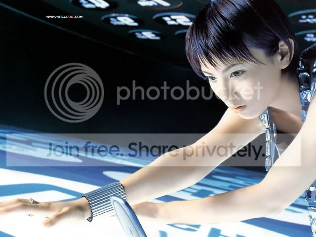 1wallcoocom_b381.jpg