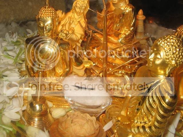 5cc88862.jpg