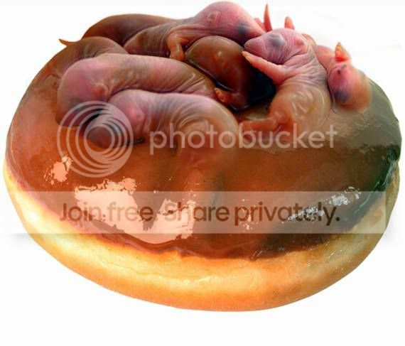 ATT00022.jpg