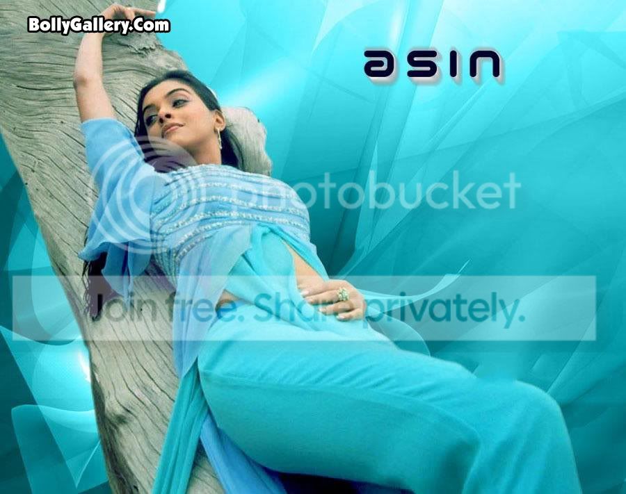 Asin_229.jpg