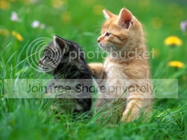 Brothers.jpg