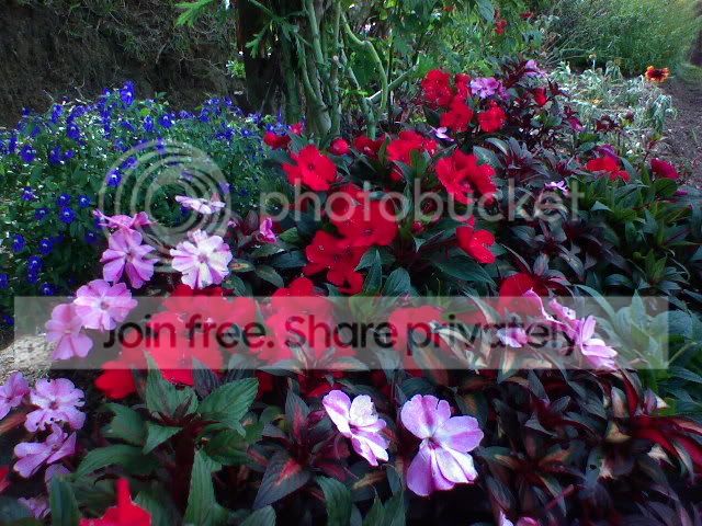 DSC004431.jpg