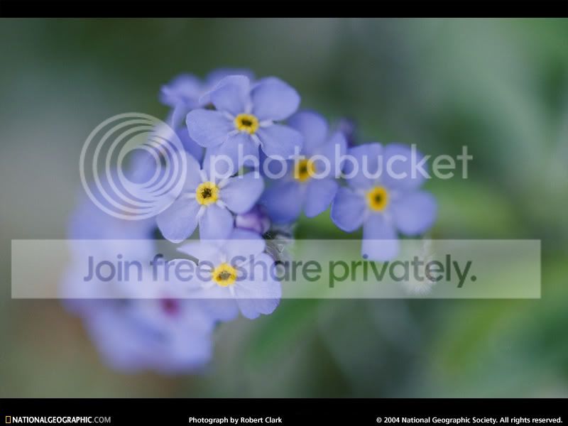 NGM1998_12p60IN.jpg