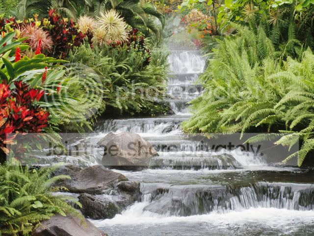Waterfall.jpg