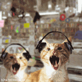 fff721a3.gif